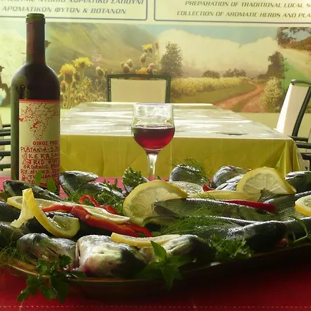 Aparthotel Des Roses