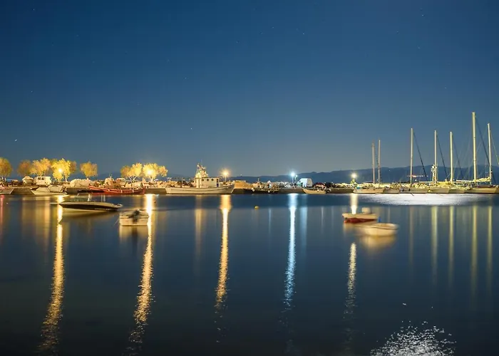 公寓式酒店 玫瑰公寓式酒店