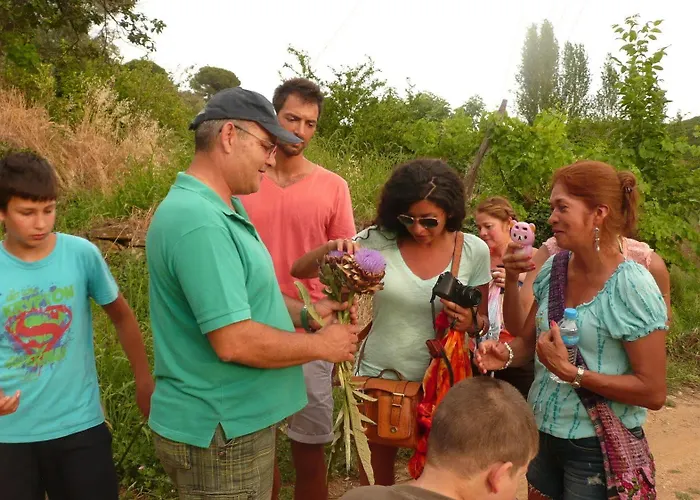 玫瑰公寓式酒店 公寓式酒店