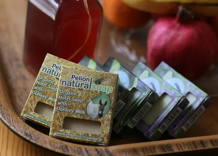 玫瑰公寓式酒店 2* 普拉坦亚斯