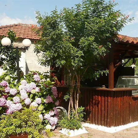 Des Roses Πλατανιάς