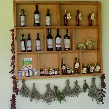 玫瑰公寓式酒店 公寓式酒店 普拉坦亚斯