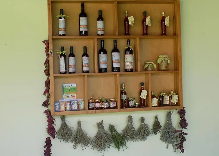 Des Roses Hotel Aparthotel Platanias (Thessaly)