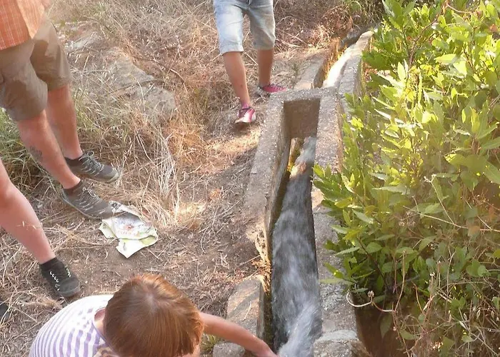 Des Roses アパートホテル プラタニアス